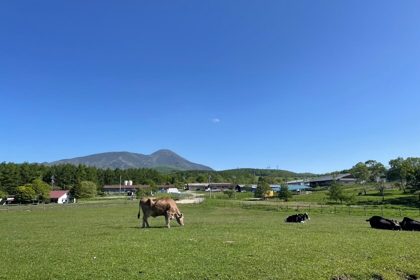 オフの過ごし方